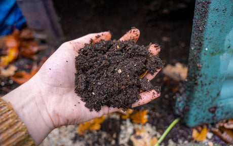 Creating Compost in a Compost Bin with Kitchen Scraps and brown leaves