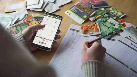 Mastering Vegetable Garden Planning: A Simple Guide with Free Planner (FREE PDF)