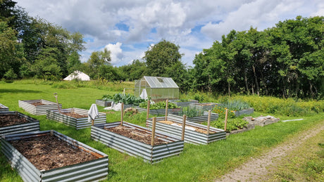 Vegetable gardens in Sweden with EM and Bokashi