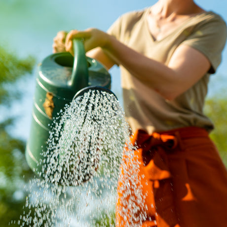 Watering