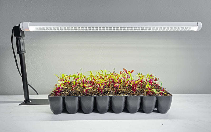 Barre LED de croissance forte - Blanc - 60cm