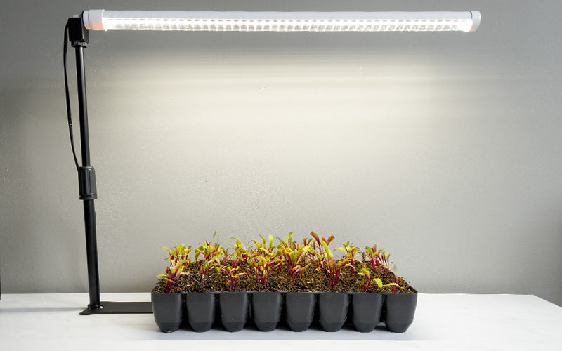 Barre LED de croissance forte - Blanc - 60cm