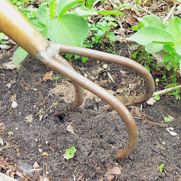 Copper 3-Tine Cultivator