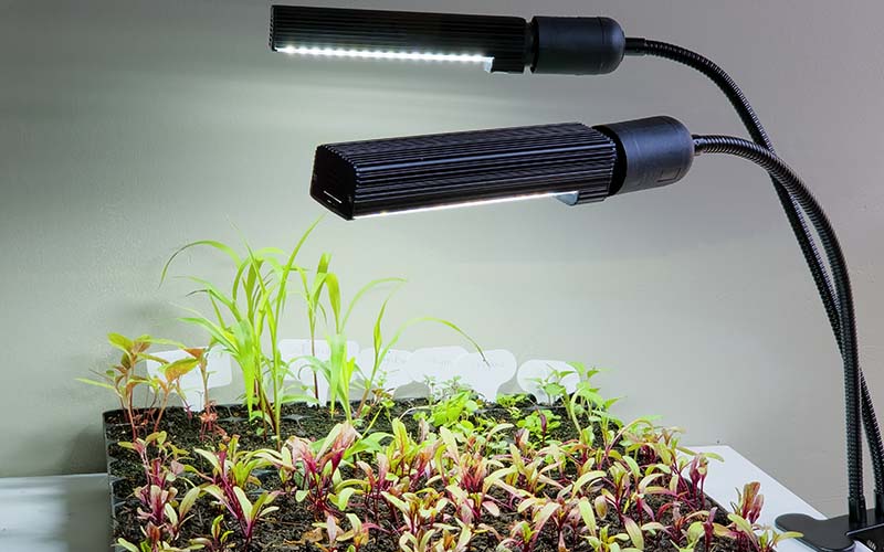 Lampe de culture pour plantes - E27 - 13W - 4000K