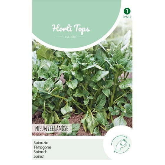 Spinach New Zealand