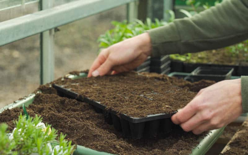 Large sturdy potting tray