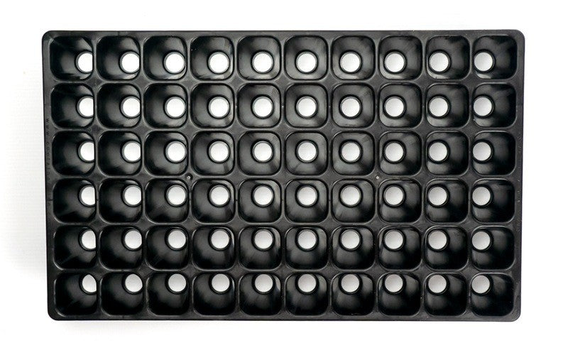 Containerwise® Charles Dowding Anzuchtplatte (CD60)