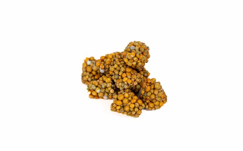 Engrais pour plantes en pot – Facile à utiliser – Phase de floraison