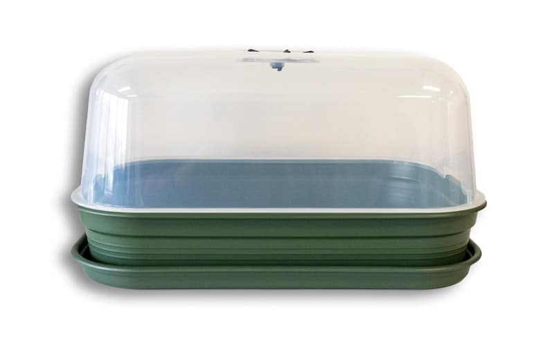 Medium Sturdy Propagator With Lid and Air Vent (36x26cm)