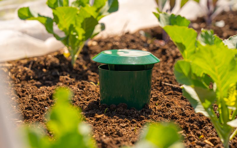 Piège de jardin à limaces et escargots écologique 2x