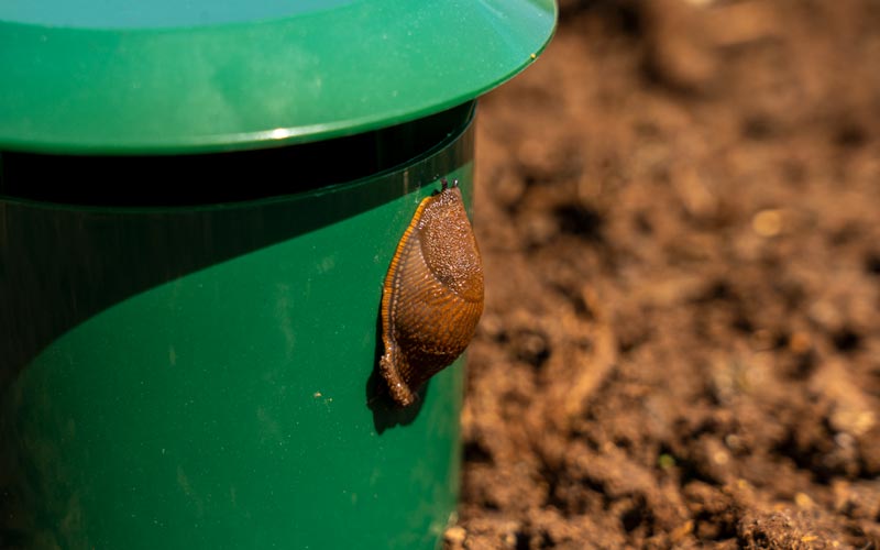 Piège de jardin à limaces et escargots écologique 2x