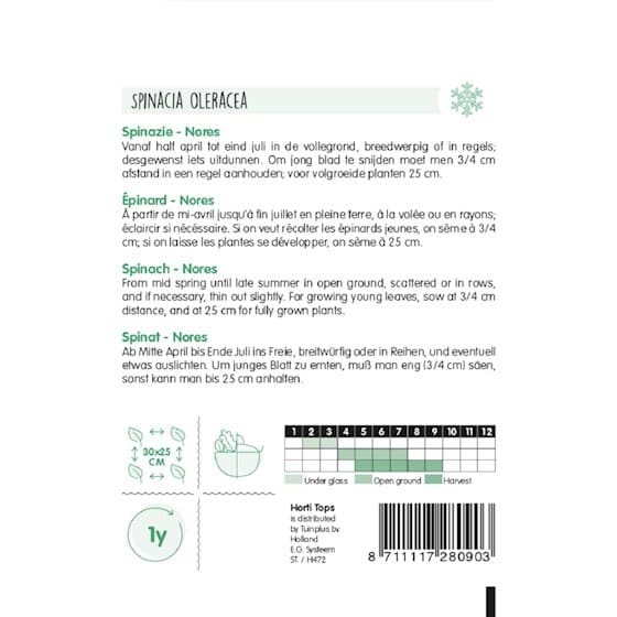 Summer spinach Nores