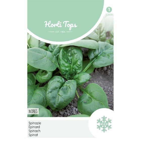 Summer spinach Nores