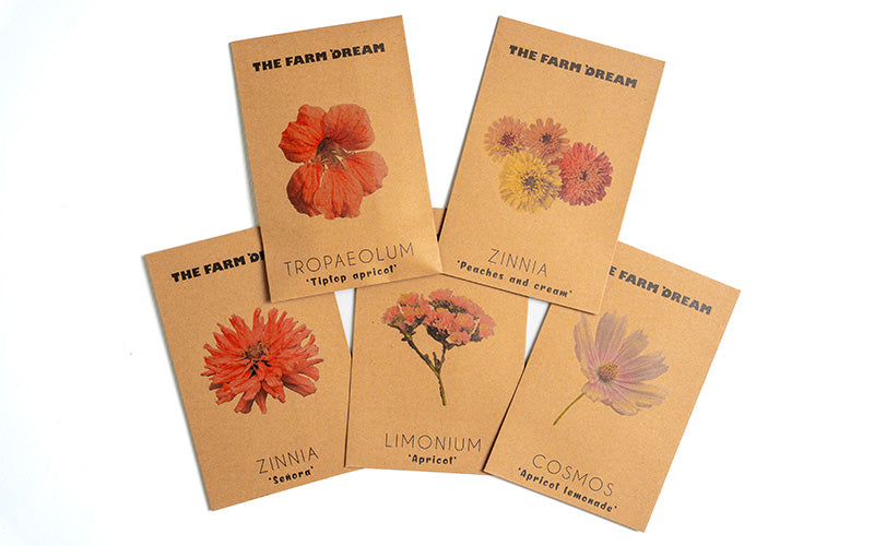 Apricot Glow Flower Collection