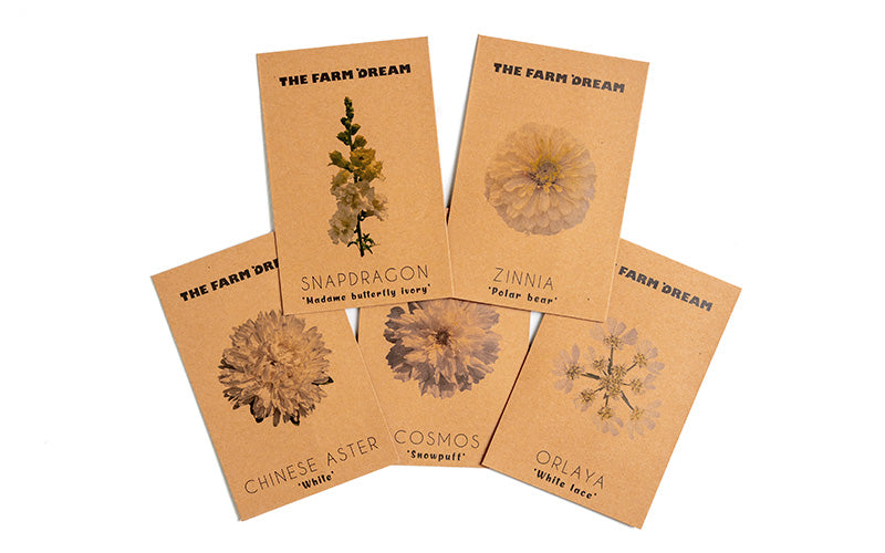 Elegant Whites Flower Collection – Annuals