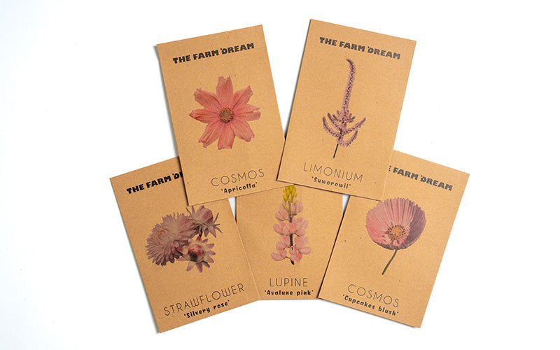 Pink flower collection - Annual