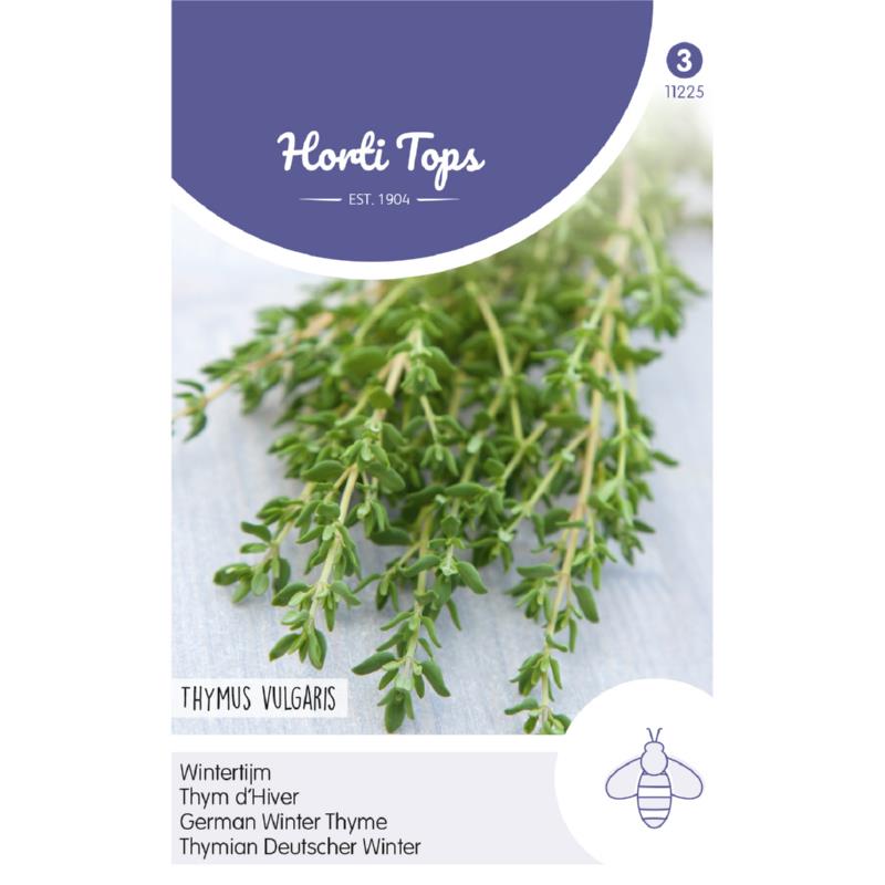 German winter Thyme