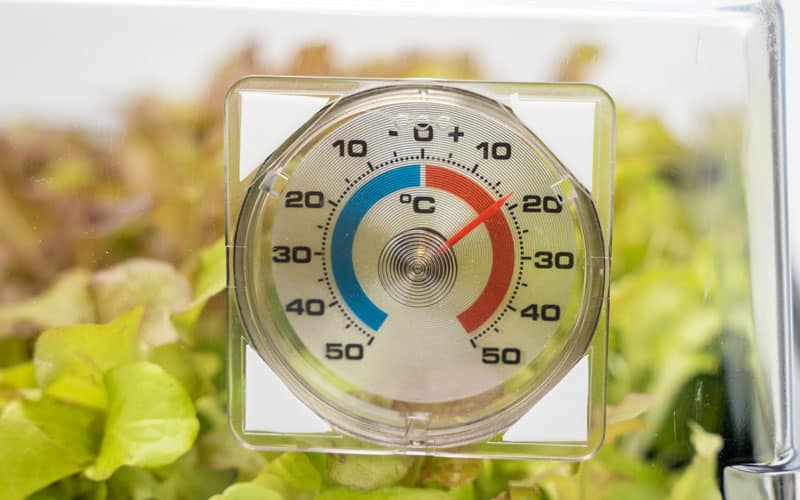 Serre chauffée Deluxe XL avec couvercle ventilé