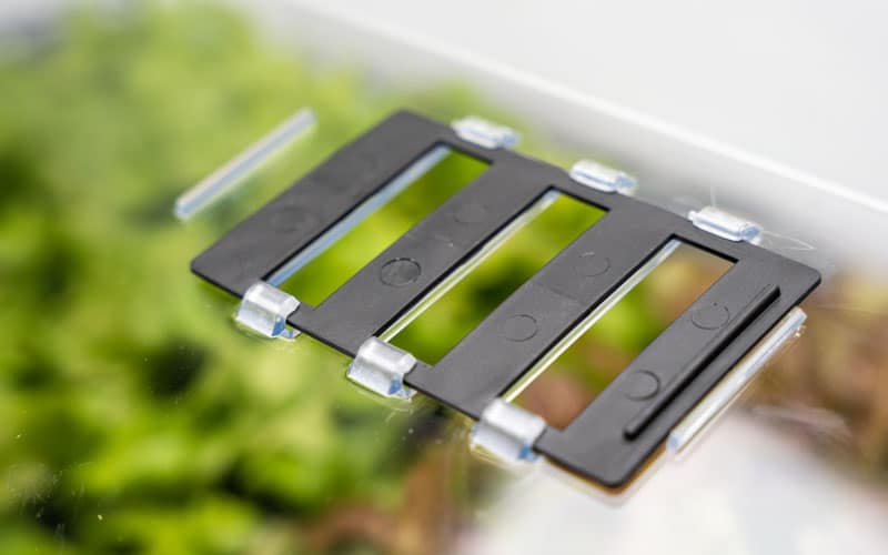 Serre chauffée Deluxe XL avec couvercle ventilé