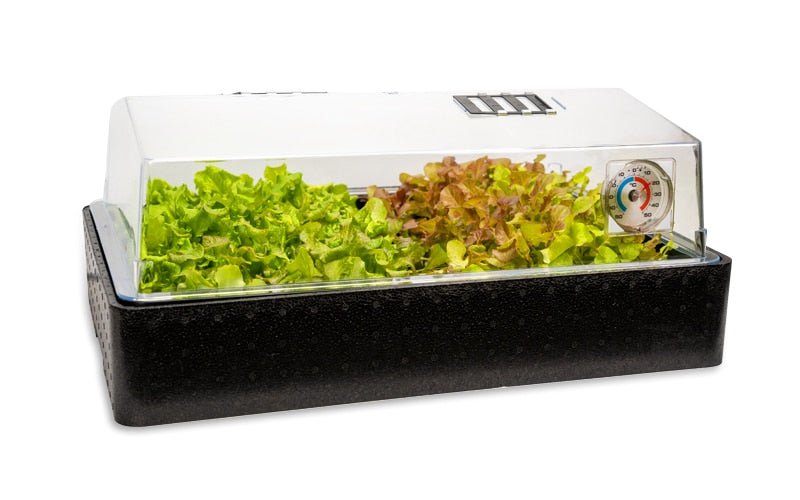 Serre chauffée Deluxe XL avec couvercle ventilé