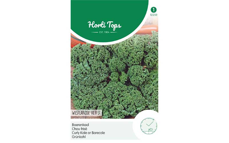 Paarse boerenkool - scharlakenrood