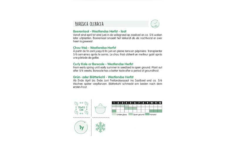 Paarse boerenkool - scharlakenrood