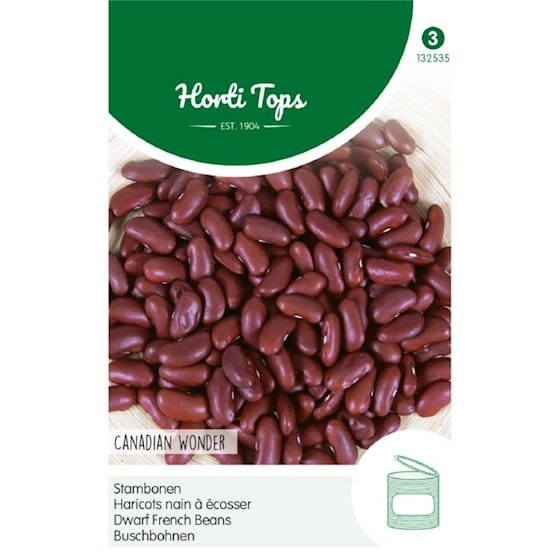 Dwarf French Beans - Canadian wonder