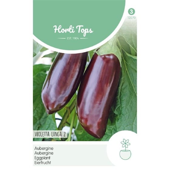 Aubergine - Violetta Lunga 2