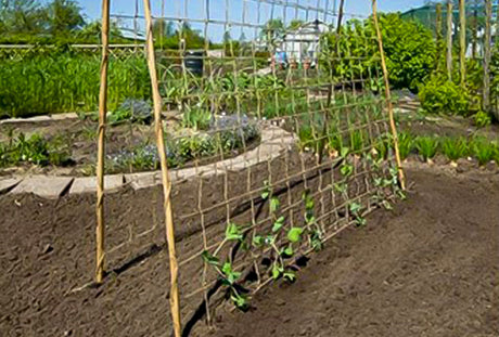 Kletternetz aus natürlichem Jute – 1,8 m x 5,0 m Pflanzenstütze
