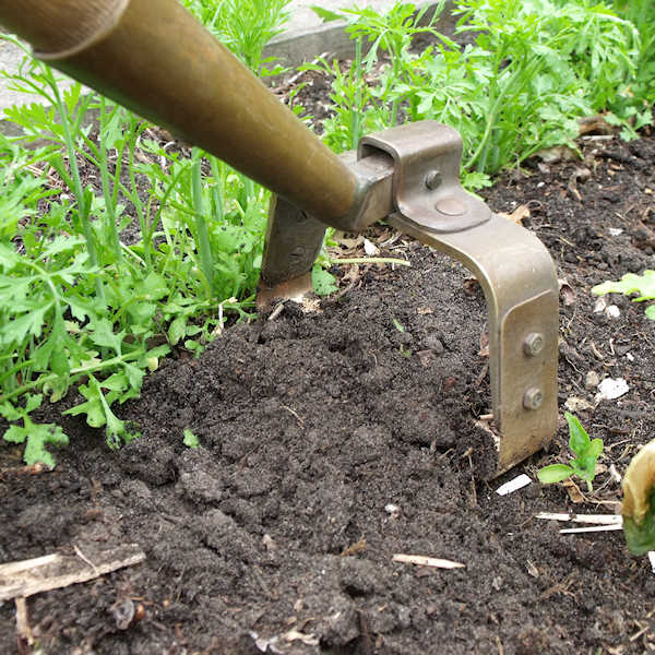 Copper Oscillating Hoe