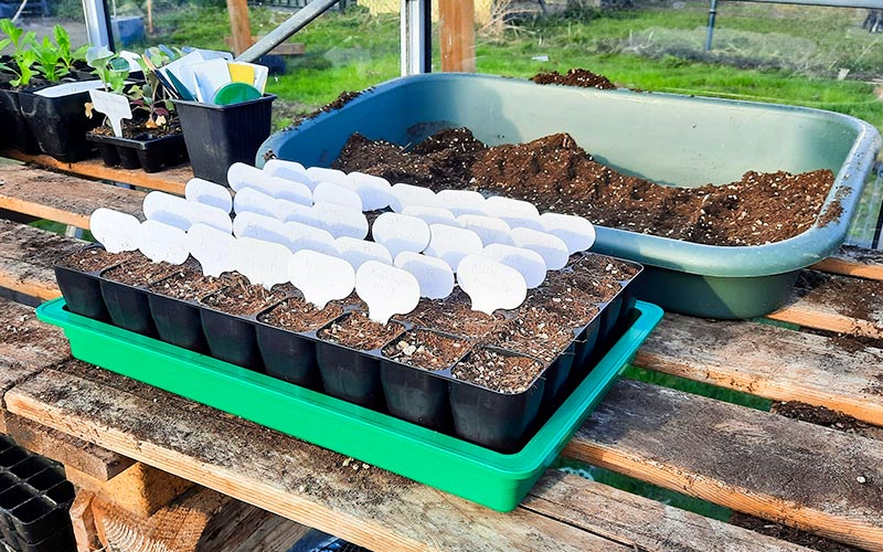Plateau de module de propagation robuste de 40 cellules