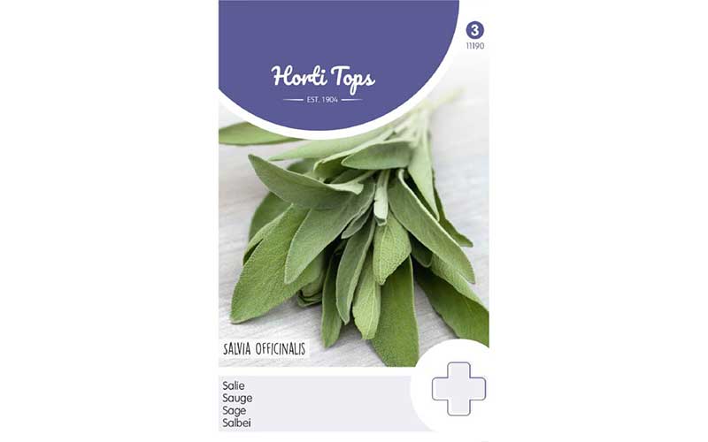 Sage - Salvia officinalis