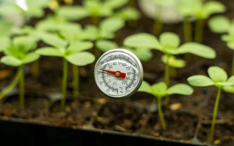 Zaailing warmtemat - Waterdichte leren plant Zaailing warmtemat - Waterdichte leren plant