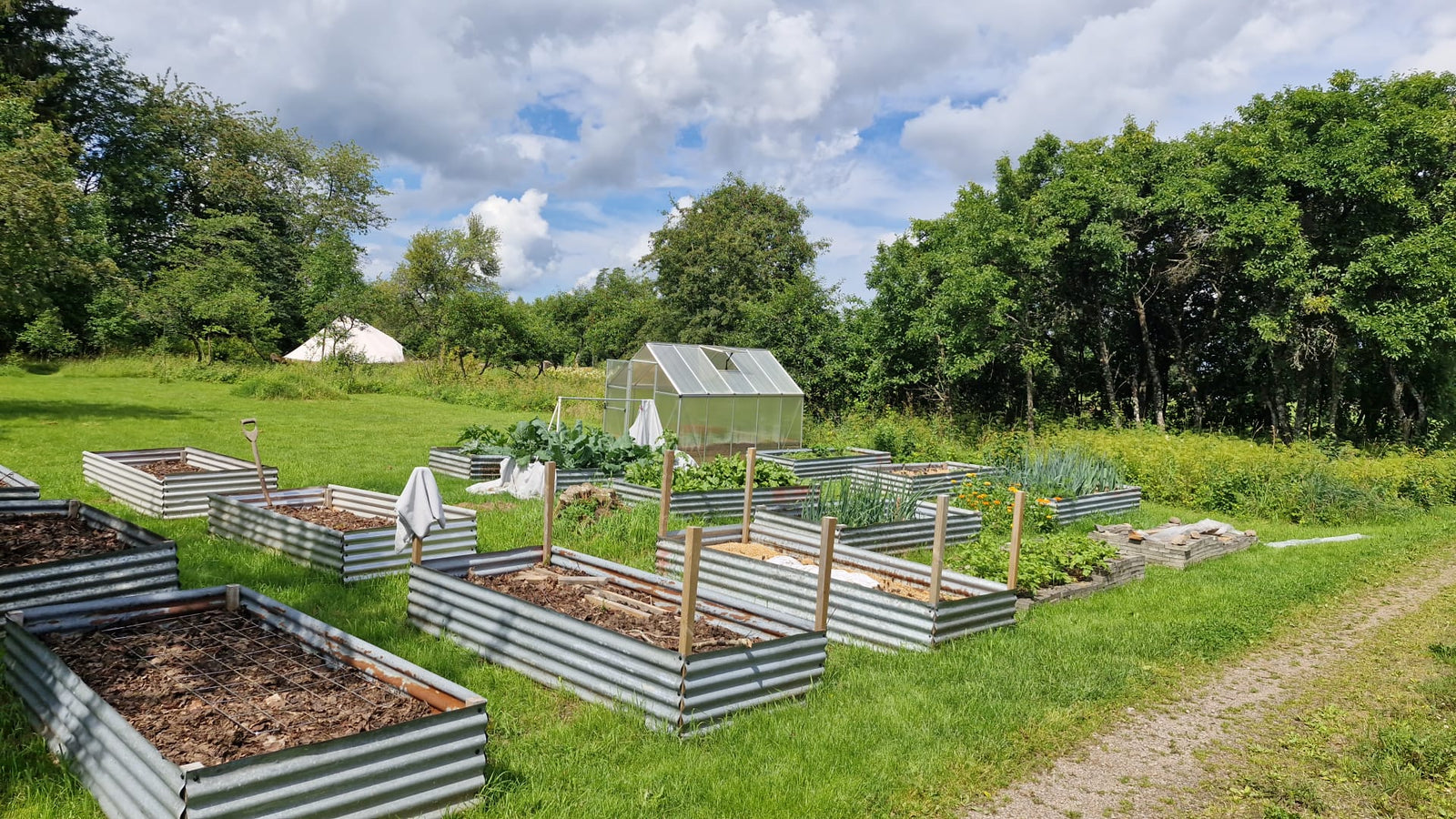 Vegetable gardens in Sweden with EM and Bokashi