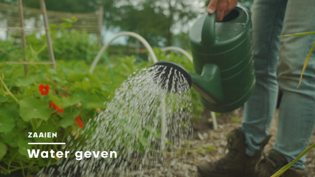 Watering can