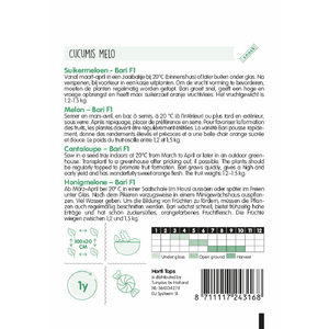 Cantaloupe Melon - Bari F1