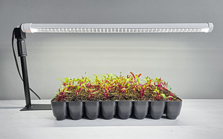 LED bar strong grow light - Wit - 60cm