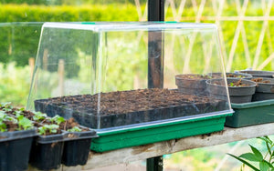 Durable seed tray