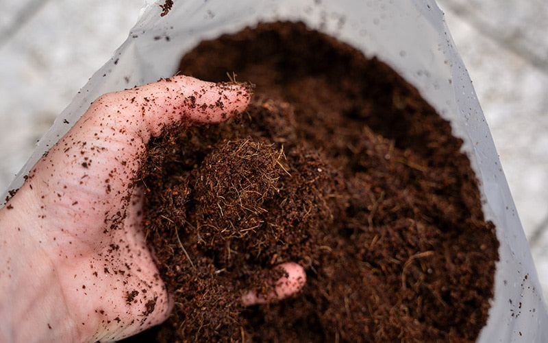 Leichte Kokos-Blumenerde – praktisch, torffrei und perfekt für alle Pflanzen  – The Farm Dream