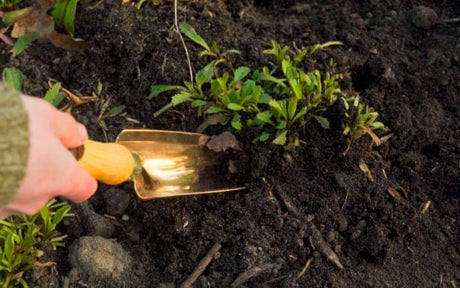 Koperen plantenschepje