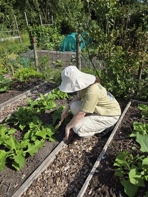 Stay cool while tending your garden with this elegant linen wide brim sun hat. Made from breathable linen, with a full face and neck coverage, perfect for sunny days among your veggies and flowers, or simply enjoying your garden. The adjustable chin strap keeps it secure on breezy afternoons, making it your ideal companion for every garden adventure." Available in beige and camel