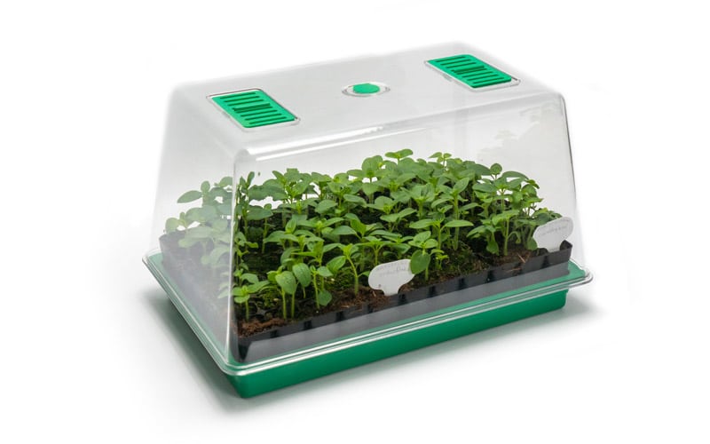 Large Sturdy Propagator with Lid and Air vents 40x25 cm