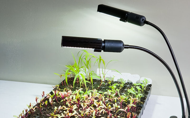 Lampe de culture pour plantes - E27 - 9W - 4000K