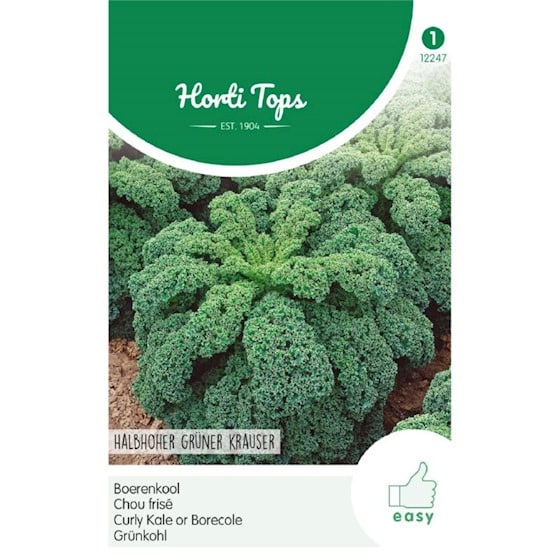 Grow fast-growing, highly productive Kale! Ideal for open ground with harvests from October to January. Add freshness to winter meals. Order at The Farm Dream.