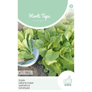 Leaf Lettuce Witte Dunsel