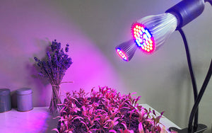 Plant Grow Light - Full Spectrum 40 LED - E27 - 15W