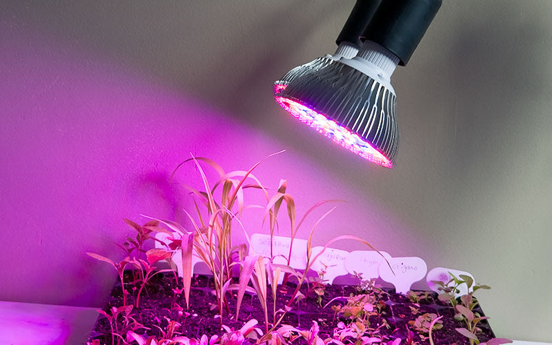 Plant Grow Light - Full Spectrum 78 LED - E27 - 24W