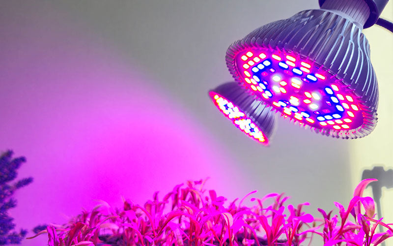 Plant Grow Light - Full Spectrum 78 LED - E27 - 24W