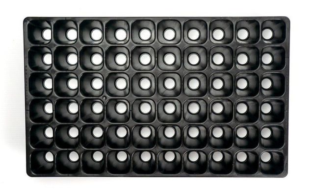 Charles Dowding CD60 Seed Tray - Perfect for Small Seedlings – The Farm ...