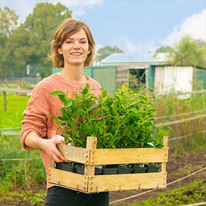 The Farm Dream - Tuincadeaubon